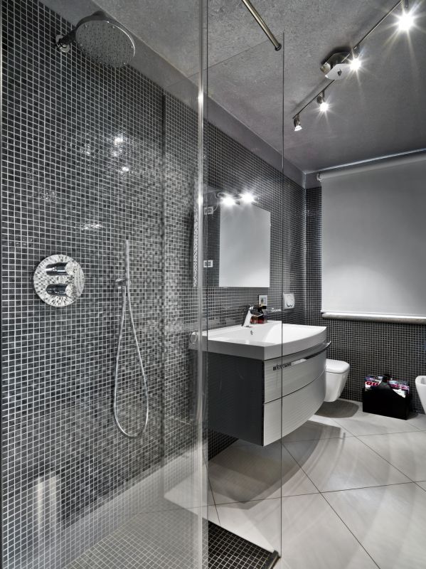 Sleek Shower Space